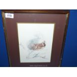 A framed print of a red Squirrel, indistinctly signed lower right. 15 3/4'' x 12''.