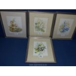 Four framed and mounted Hazel Wilson Watercolours depicting flora and fauna 11" x 13 ".