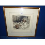 A framed and mounted original engraving depicting a young puppy and kitten, indistinctly signed.