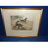 A framed and mounted dry point etching titled verso 'Gordon Setters',