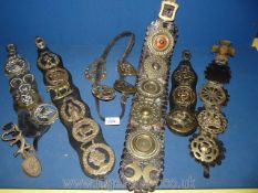 A quantity of Martingales with horse brasses including Maltese Cross with Queen Victorias head,