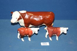 A Beswick Hereford Bull (nose ring glued) and two Beswick Hereford calves (one a/f).