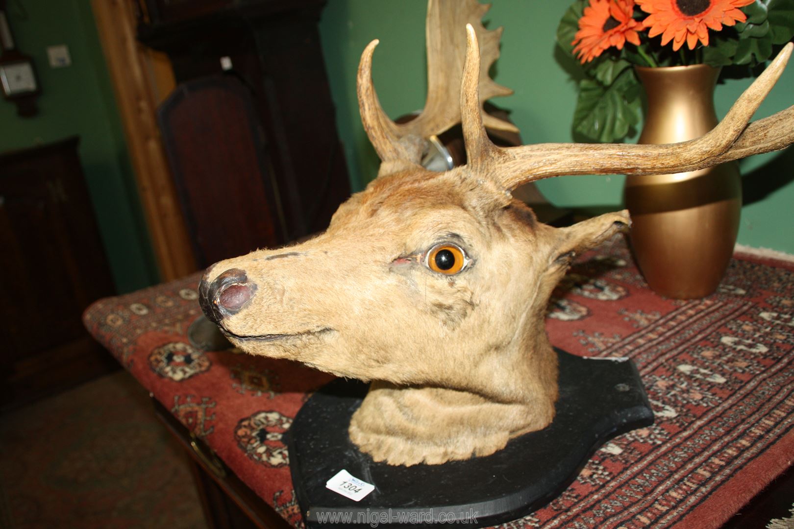 A taxidermy of a Stags head. - Image 2 of 2