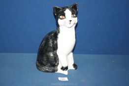 A large Price Kensington Cat with black and white markings and rust coloured eyes.