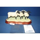 A Border Fine Arts Suffolk sheep family group, no. B0197, including certificate of authenticity.