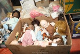 A quantity of china faced dolls of various sizes and a German made black baby doll,