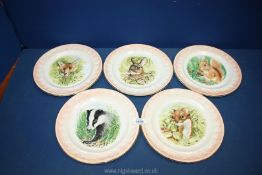 Five Royal Worcester Co. Palissy plates featuring embossed figures of a fox, badger, rabbit, etc.