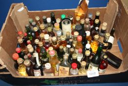 A good quantity of miniatures including Napoleon brandy, Lemon Hart Jamaican rum,