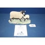 A Border Fine Arts Swaledale black faced Ewe and lambs figure group, no. A1244, (base missing).