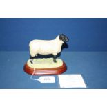 A Border Fine Arts Suffolk ram, no B0196, 1997.