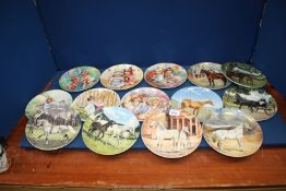 A quantity of display plates including,