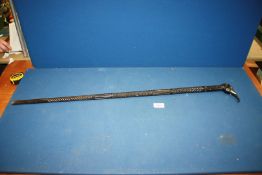 A Victorian carved ebony walking Stick with elephant head handle, (one tusk missing).