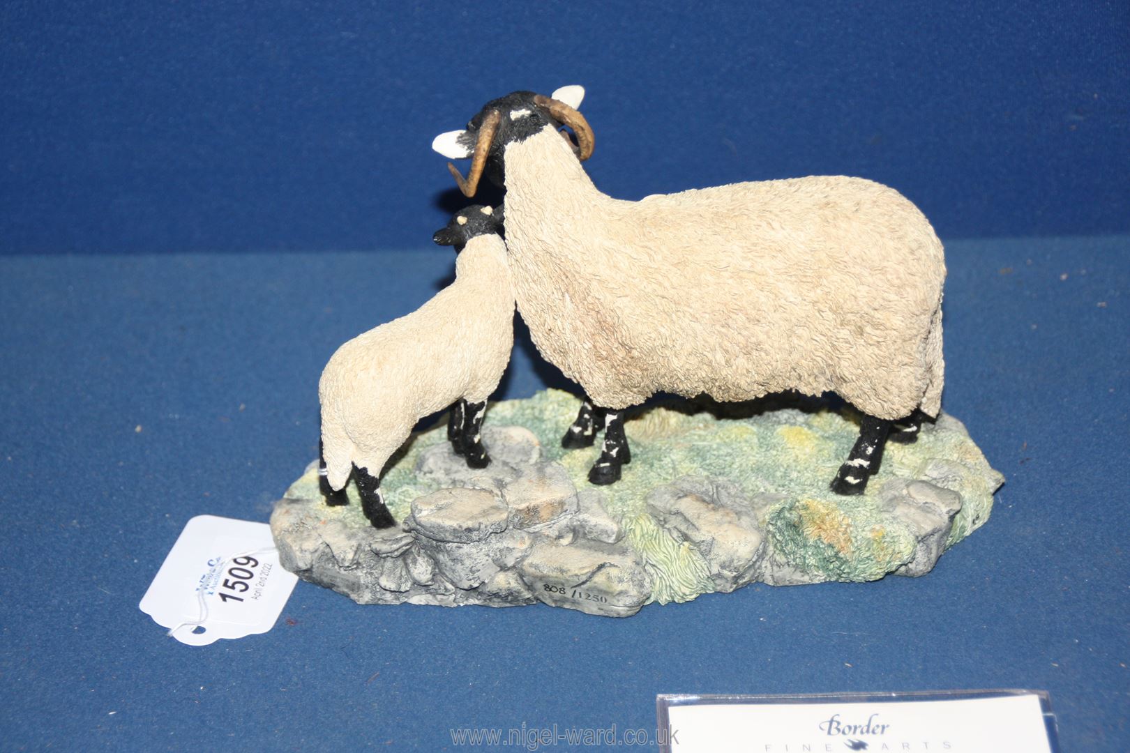 A Border Fine Arts Swaledale black faced Ewe and lambs figure group, no. A1244, (base missing). - Image 3 of 4