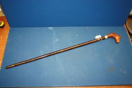 A walking Stick with carved horse knob and hazel shaft.