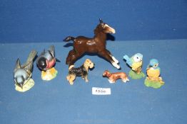 A Beswick Wagtail and Bullfinch (small chip to one beak) together with porcelain foal,