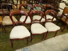 A set of six William IV design Mahogany framed Dining Chairs standing on turned and lobed front
