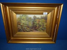 An oil on board of a woodland scene, indistinct signature lower left,