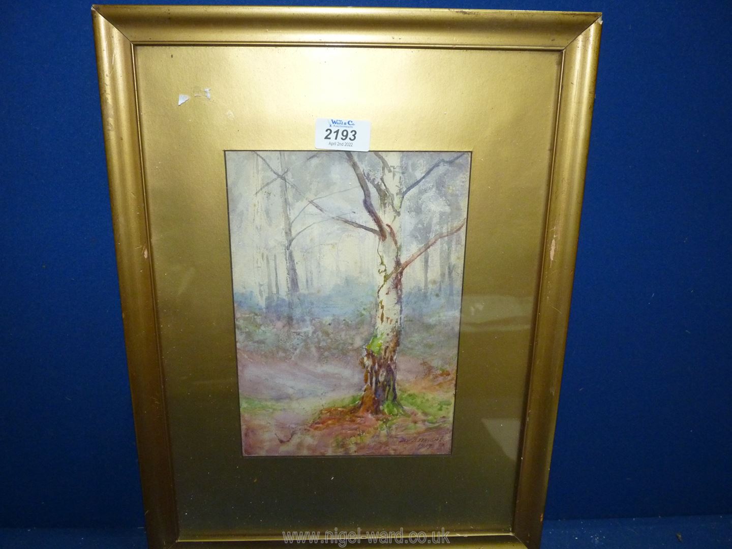 A framed and mounted watercolour depicting a woodland scene, signed lower right V D Wright 1917.