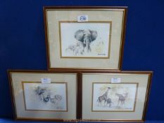 Three framed and mounted David Kelly Prints including 'Lions', 'Giraffes' and 'Elephants'.