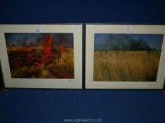 Two framed and signed photographs of Australian bush fires,