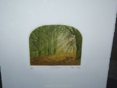 A Limited Edition etching entitled 'Sunlit Forest', no: 222/275, signed by Stephen Whittle.