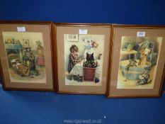 Three framed and mounted Prints depicting Cats in various poses.