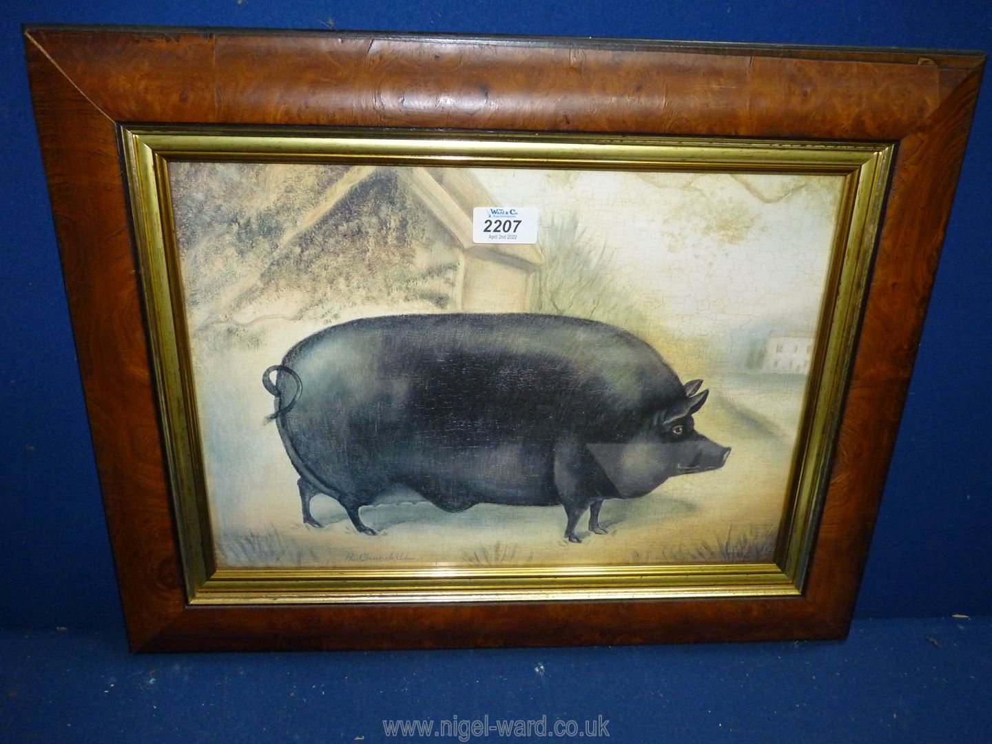 A framed Alexandra Churchill print depicting a large black pig.