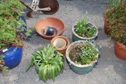 Seven miscellaneous planters, various sizes.