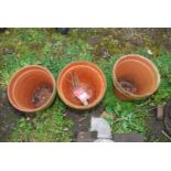 Three Terracotta flower pots.