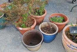 Four plastic planters and a terracotta planter.