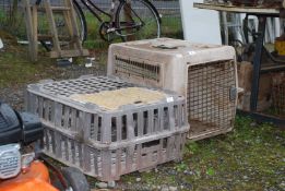 A plastic poultry crate and a pet carrier a/f.