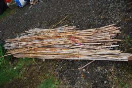 Large quantity of bamboo canes.