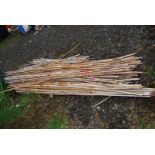 Large quantity of bamboo canes.