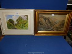 A 19th c. Watercolour of a picturesque river gorge with cows, signed R.