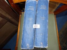 Two Volumes of Nouveau Larousse Universal.