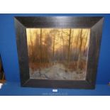 A wooden framed Watercolour of a Woodland scene, initialed lower right M.M.W. 26" x 24 1/2".