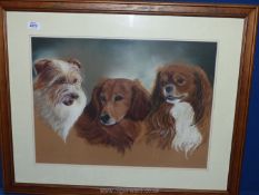 A framed and mounted pastel painting depicting three dogs, signed lower left L. Dixon, 31" x 25".