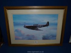 A framed and mounted Print of a Spitfire, no visible signature, 30'' x 21 1/2''.