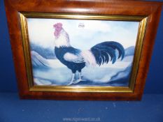 A framed Print depicting a cockerel, 21" x 16".