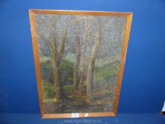 A wooden framed Oil on board of a woodland scene, no signature visible, 15 3/4'' x 20 3/4''.