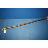 A lovely hazel shafted walking Stick with a bulldog knop and polished brass collar.