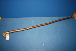 A lovely hazel shafted walking Stick with a bulldog knop and polished brass collar.