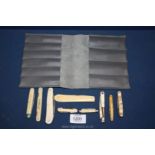 Seven bone handled fruit knives plus two others with large fitted case.
