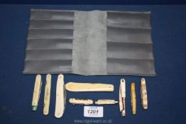 Seven bone handled fruit knives plus two others with large fitted case.