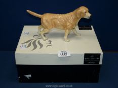 A Royal Doulton Labrador, 2005, 5'' tall x 8 1/4'' long, boxed.