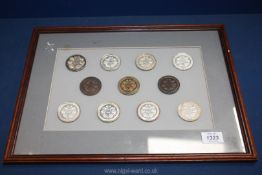 Eleven ''Affiliated Societies Medals'' for Chrysanthemums, mounted in frame 17 1/2" x 13".