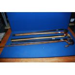 A quantity of walking sticks including three with silver collars including London 1923,