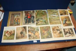 Twelve Victorian chromolithic prints by Harrison Weir, George Wills and others,