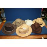 A quantity of gent's hats to include a brown Trilby, two Panamas,