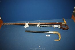 A loop handled shooting stick and two walking sticks one having an antler handle,